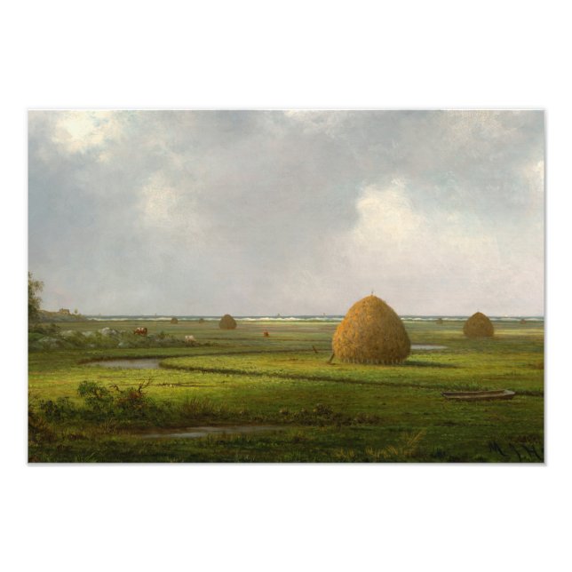 Foto Vista de Marshfield, 1876 por Martin Johnson Heade (Frente)