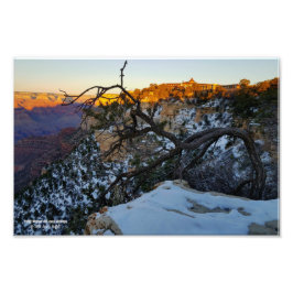 Foto Vista do hotel El Tovar com vista para o Grand Can