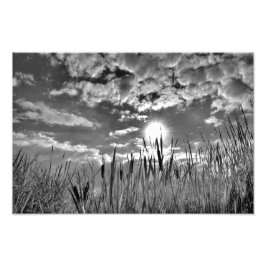 Foto Vista dos Olhos do Pato