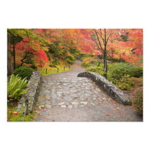 Foto WA, Seattle, Arboreto do Parque de Washington,