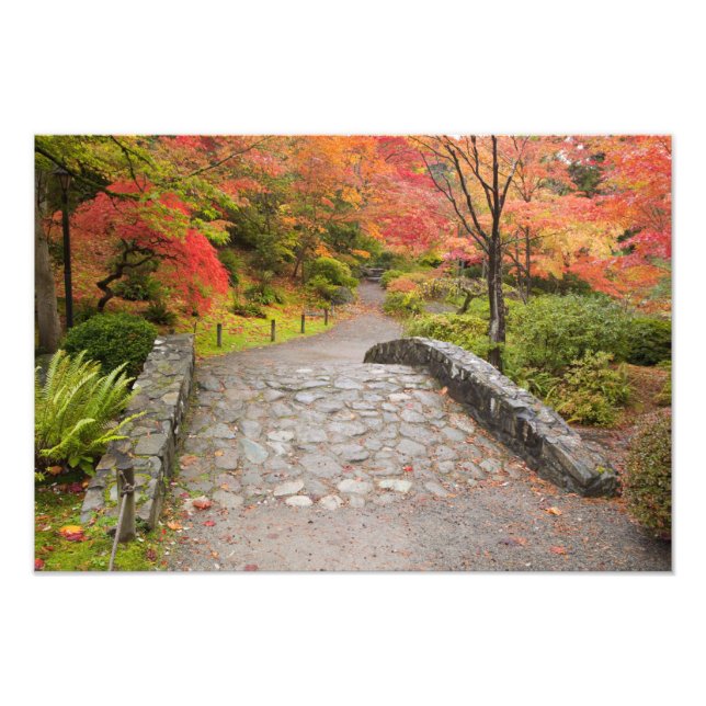 Foto WA, Seattle, Arboreto do Parque de Washington, (Frente)