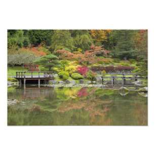 Foto WA, Seattle, Arboreto do Parque de Washington, 3