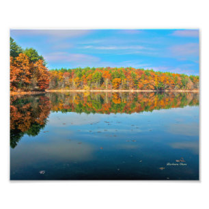 Foto Walden Pond Photo Impressão