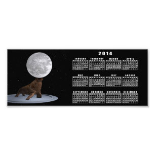 Foto Walrus Balancing The Moon