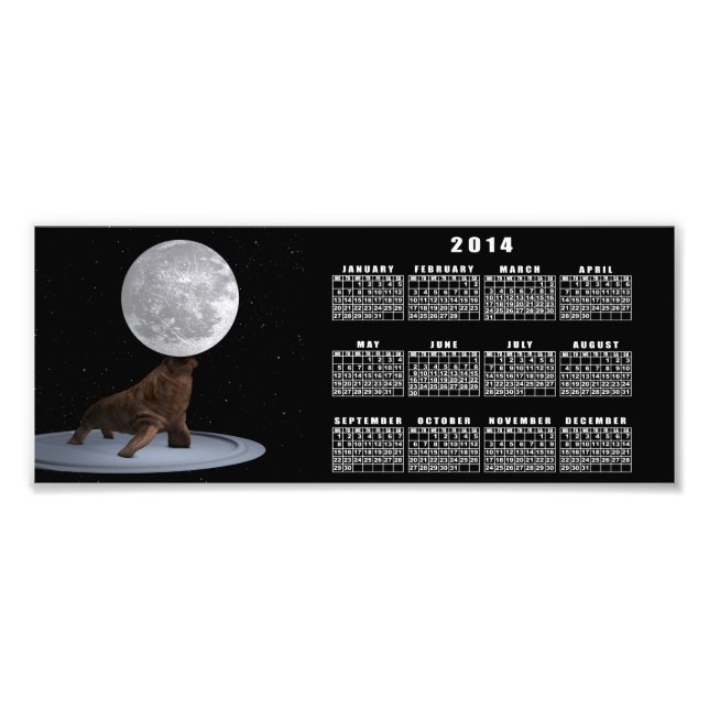 Foto Walrus Balancing The Moon (Frente)