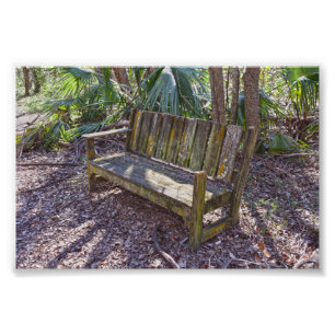 Foto Weathered Park Bench, Ilha Dauphin