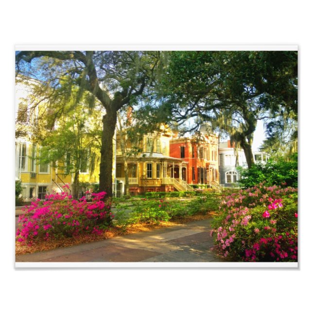 Foto Whitaker Street Em Março (Frente)