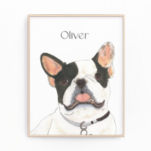 Foto White Buldogue Francês Francês com Pitada Branca P