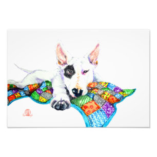 Foto White Bullterrier sobre Patchwork - Arte