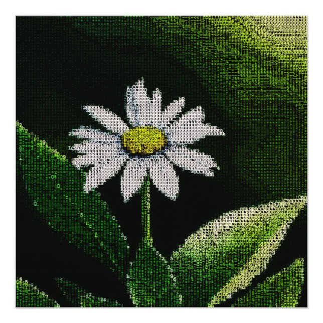 FOTO WHITE DAISY (Frente)