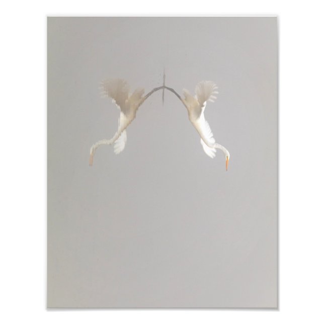 Foto White Heron decolando Zen (Frente)