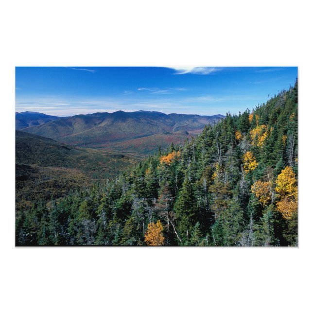 Foto White Mountain N.F., NH. A vista de perto (Frente)