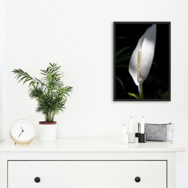 Foto White Peace Lily Plant Floral (In Situ Framed)