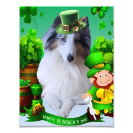 Foto White Rough Collie celebrating St. Patrick's Day