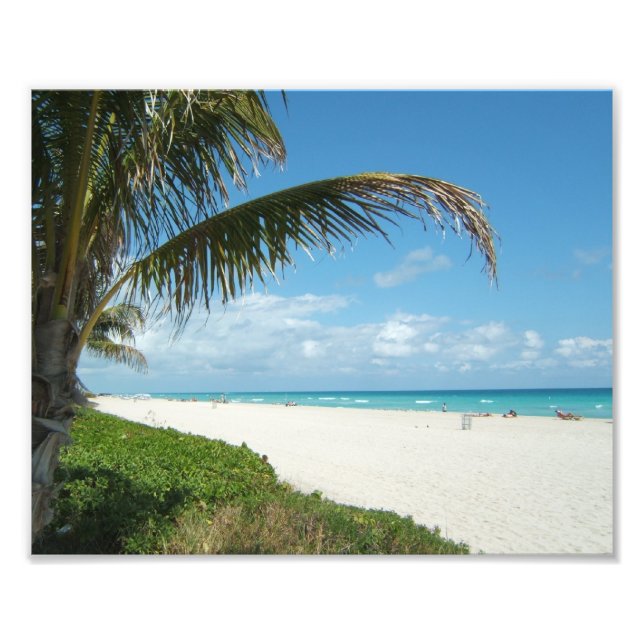 Foto White Sand Beach com Palm (Frente)