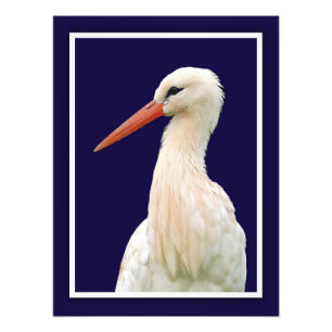 Foto White Stort Photo Wall Art