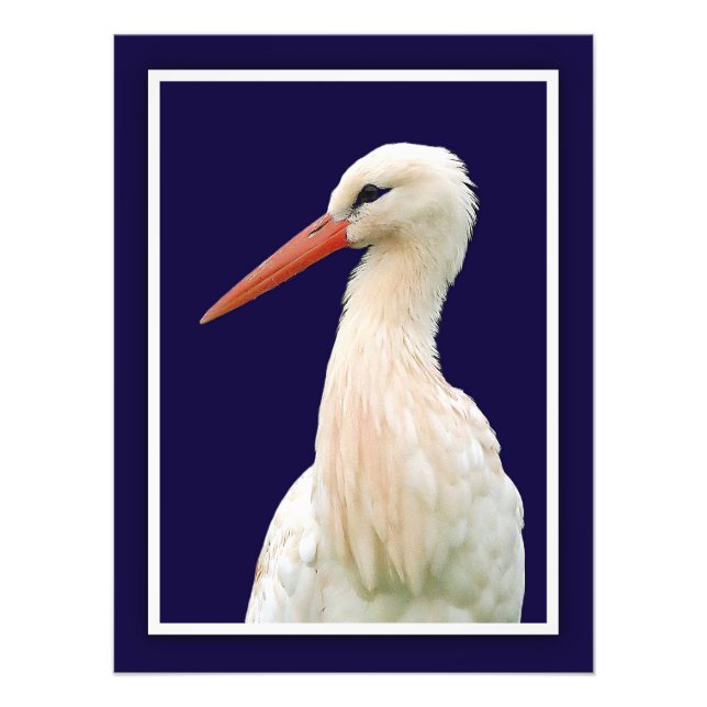 Foto White Stort Photo Wall Art (Frente)