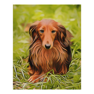 Foto Wiener Brown Dachshund Na Grama No Jardim Xmas