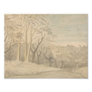 Foto William Blake - uma paisagem arborizado