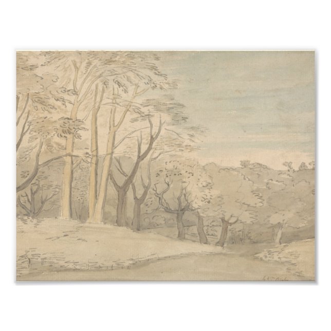 Foto William Blake - Uma paisagem lenhosa (Frente)