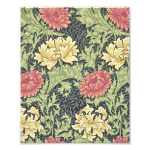 Foto William Morris Chrysanthemum Vintage Arte Floral