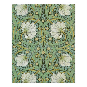 Foto William Morris - Pimpernel