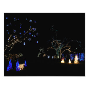 Foto Winter Wonderland Lights Blue and White Holiday