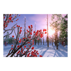 Foto Winterberry in Ice Photo Impressão