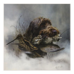 Foto Wirehaired Pointing Griffon, Caça a pau