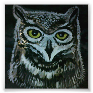 Foto Wise Owl
