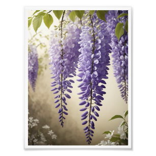 Foto Wisteria Flor Poster Wall Art Wall Decor