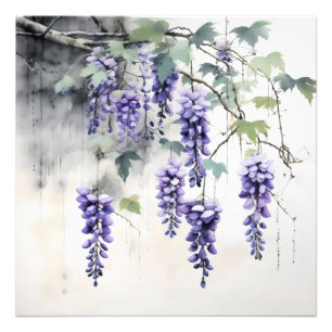 Foto Wisteria Flowers Nature