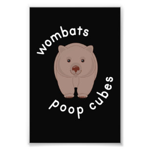 Foto Wombat Poop Cube Austrália