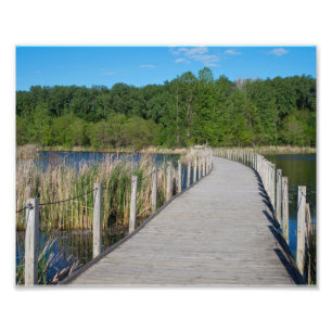 Foto Wood Lake Park Boardwalk e Scenic