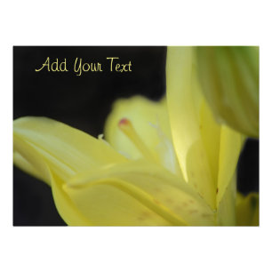 Foto Yellow Lily por Shirley Taylor