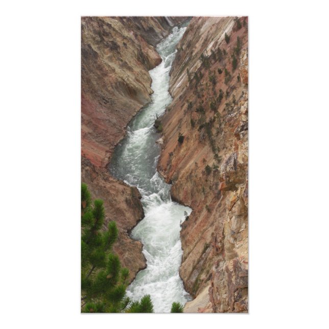 Foto Yellowstone River Photo Impressão (Frente)
