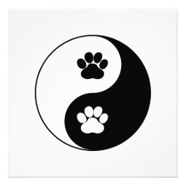 Foto Yin Yang Dog Paw