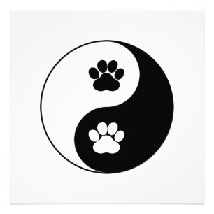 Foto Yin Yang Dog Paw