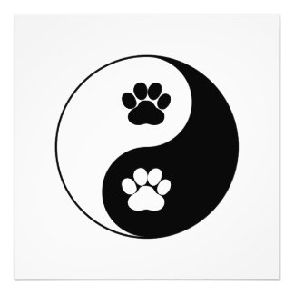Foto Yin Yang Dog Paw