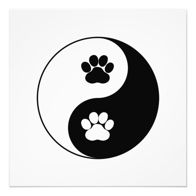 Foto Yin Yang Dog Paw (Frente)