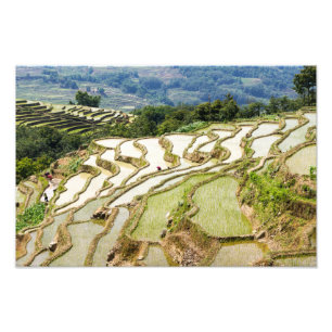 Foto Yuanyang Rice Terraces, Yunnan - China