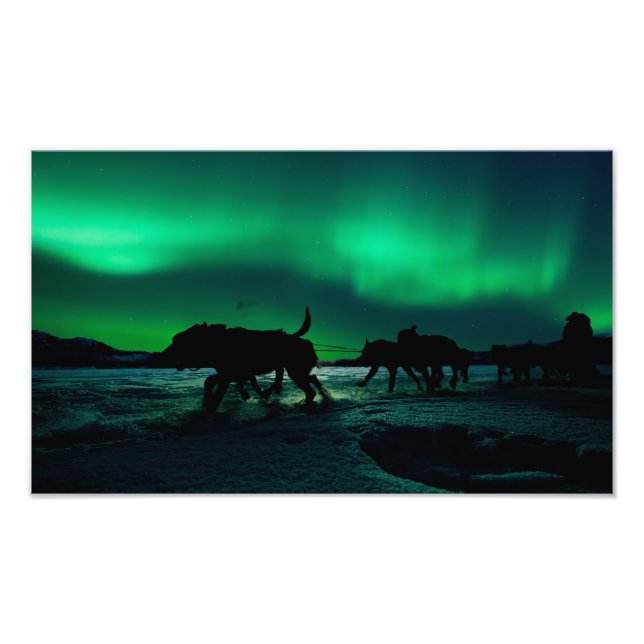 Foto Yukon Quest Magic (Frente)