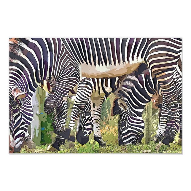 FOTO ZEBRAS (Frente)