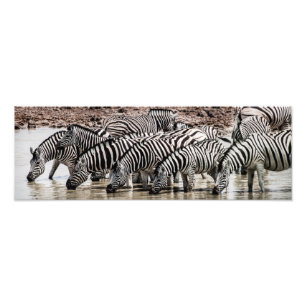 Foto Zebras na Waterhole