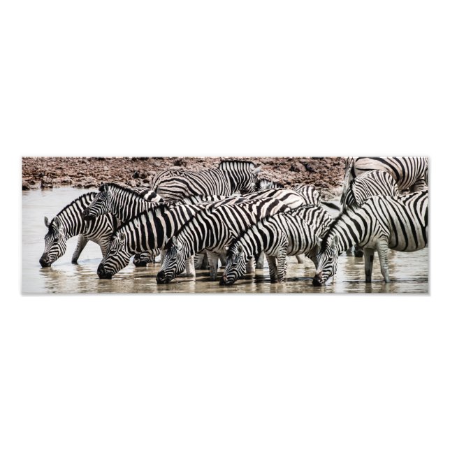 Foto Zebras na Waterhole (Frente)