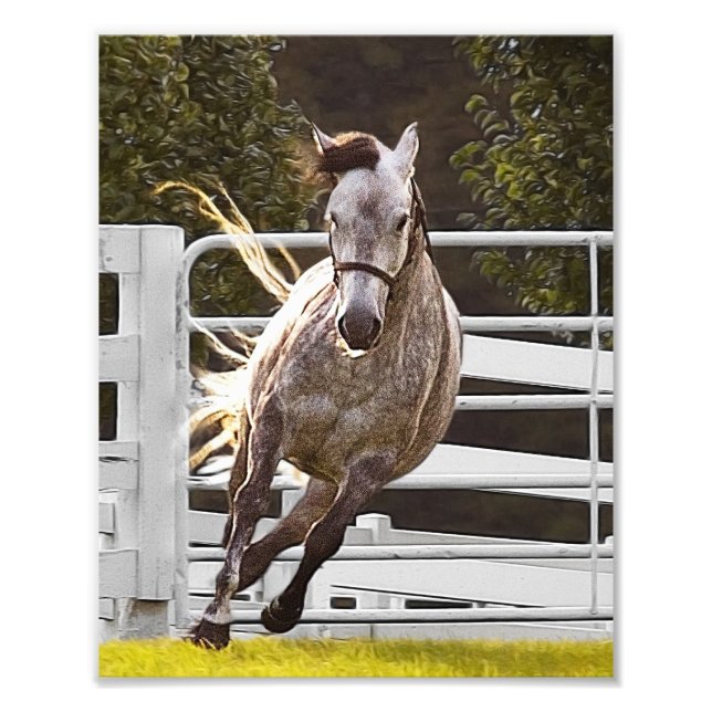 Foto Zest For Life (Frente)