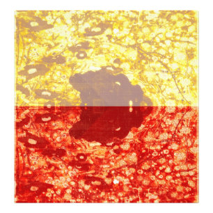 Foto Zhao Chang - Imagem do Ano Novo (Modificada)