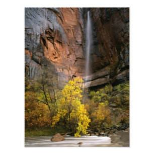 Foto Zion National Park, Utah. EUA. Ephemeral