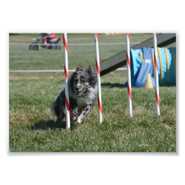 Foto Zoey 2 (Frente)