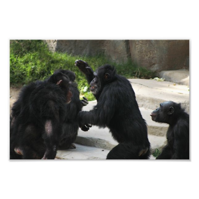 Foto Zoo de Los Angeles (Frente)